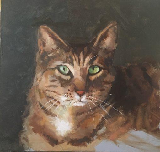 Nelson the Tabby*